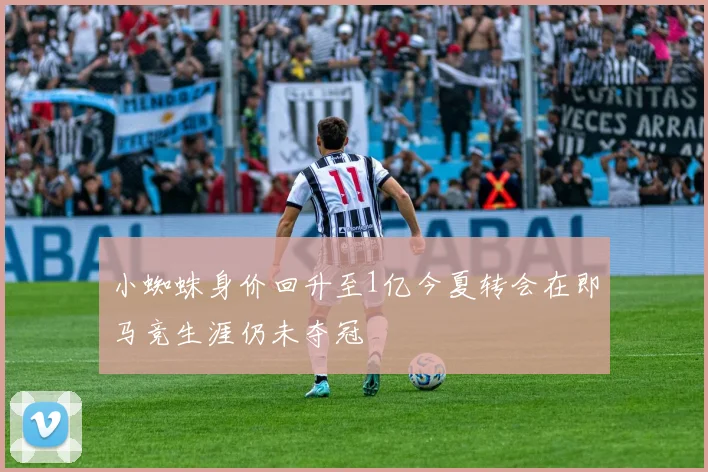 小蜘蛛身价回升至1亿今夏转会在即马竞生涯仍未夺冠